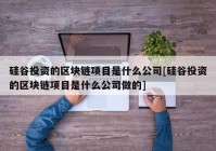 硅谷投资的区块链项目是什么公司[硅谷投资的区块链项目是什么公司做的]