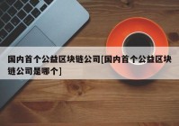 国内首个公益区块链公司[国内首个公益区块链公司是哪个]