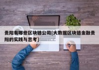 贵阳有哪些区块链公司[大数据区块链金融贵阳的实践与思考]